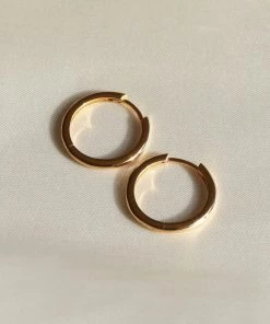 Astrid & Miyu Simple Hinge Small Hoops In Gold Best Sellers