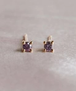 Astrid & Miyu February Birthstone Stud Earrings In Gold With Amethyst CZ