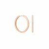 Astrid & Miyu Earrings Crystal Hinge Small Hoops In Rose Gold