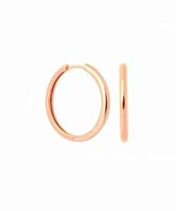 Astrid & Miyu Earrings Simple Hinge Small Hoops In Rose Gold