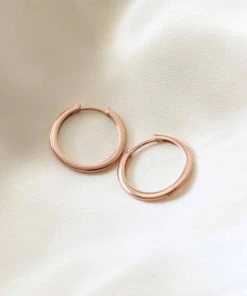 Astrid & Miyu Earrings Simple Hinge Small Hoops In Rose Gold 9 Astrid & Miyu Earrings Simple Hinge Small Hoops In Rose Gold