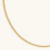 Astrid & Miyu Snake Chain Necklace In Gold Necklaces