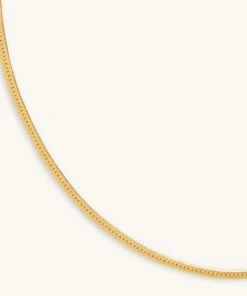 Astrid & Miyu Snake Chain Necklace In Gold Necklaces