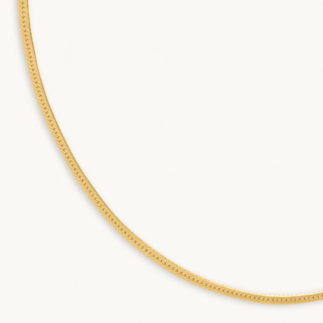 Astrid & Miyu Snake Chain Necklace In Gold Necklaces 3 Astrid & Miyu Snake Chain Necklace In Gold Necklaces