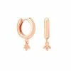 Astridandmiyu Botanist Pendant Hoops In Rose Gold
