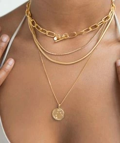 Astrid & Miyu Oval Snake Chain Necklace In Gold Necklaces