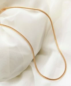 Astrid & Miyu Oval Snake Chain Necklace In Gold Necklaces