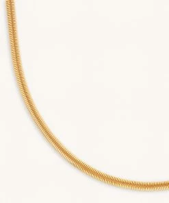 Astrid & Miyu Oval Snake Chain Necklace In Gold Necklaces