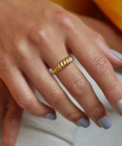 Astridandmiyu Rope Dome Ring In Gold