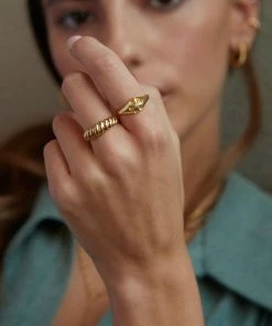 Astridandmiyu Rope Dome Ring In Gold